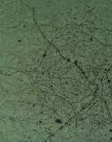 Hypipamee the Crater. 1999 