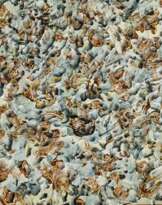 Hrbek, Petr - Engelskalt