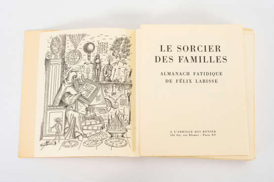 Le sorcier des familes - фото 4