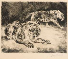 MEYER-EBERHARDT, Kurt (1895 Leipzig - 1977 München). Tiger.