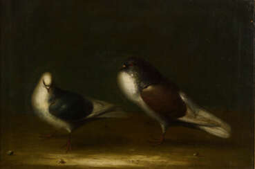 SOHN, Niclaes Peters H. zugeschrieben. Das Taubenpaar.