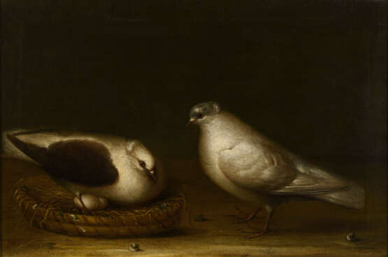 SOHN, Niclaes Peters H. zugeschrieben. Taubenpaar mit Nest. - Foto 1