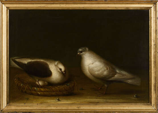 SOHN, Niclaes Peters H. zugeschrieben. Taubenpaar mit Nest. - photo 2