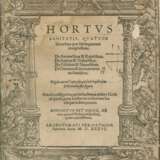 Hortus Sanitatis. - фото 7