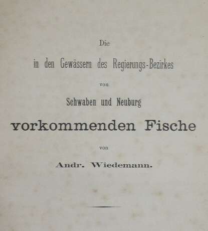 Wiedemann, A. - фото 1