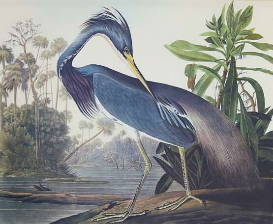 Audubon, J.J. - photo 1