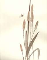 Камыш и стрекоза. 2020г. Ручная работа. Автор - Мишарева Наталья Камыш и стрекоза. 2020г. Ручная работа. Автор - Мишарева Наталья