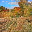 Clear autumn midday Painting by Aleksandr Dubrovskyy - One click purchase