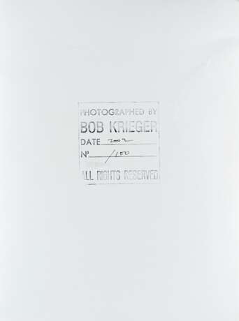 Bob Krieger. Nudo di uomo 2002 - photo 2