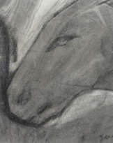 Testa di cavallo 1927 circa