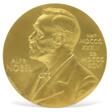The IVF Nobel Medal - Auktionsarchiv