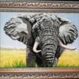 "Elefant" - One click purchase