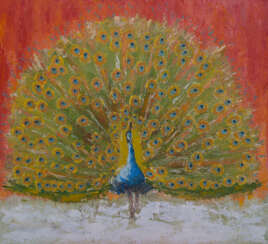 The sacred peacock.