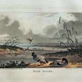 Дикие утки. 1825 г - фото 1