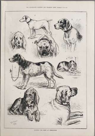 Зарисовки собак на национальной выставке в Бермингеме - Foto 1