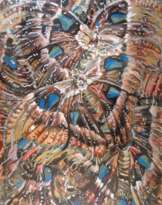 Бабочка Атлас Бабочка Атлас