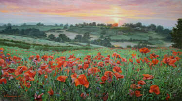 "Red poppies in a green field"