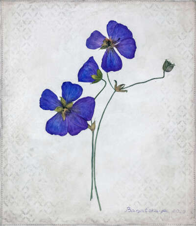 The Pansies Canvas Oil paint Realism Still life 2020 - photo 1