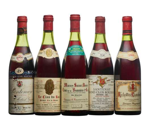 Burgundy. Mixed Red Burgundy - photo 1