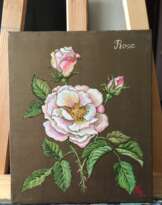 May rose-Майская роза May rose-Майская роза