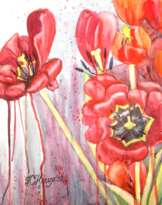 Тюльпаны Тюльпаны