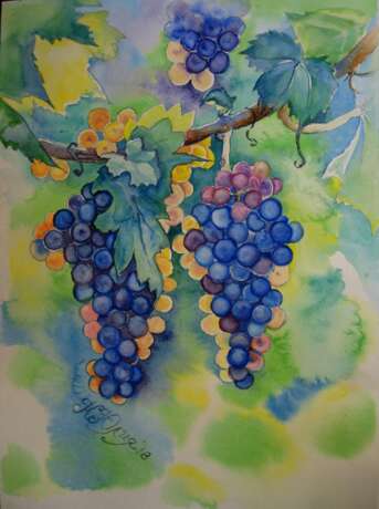 Drawing “Bunches of grapes”, Paper, Watercolor, Realist, Still life, 2018 - photo 1