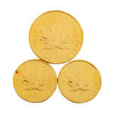 Kanadische Investgoldmünzen - - Foto 1