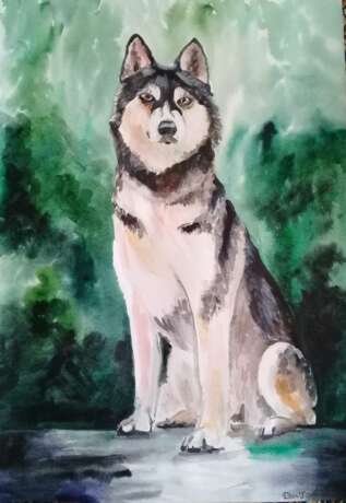Drawing “Wolf”, Paper, Watercolor, Realist, Animalistic, 2019 - photo 1