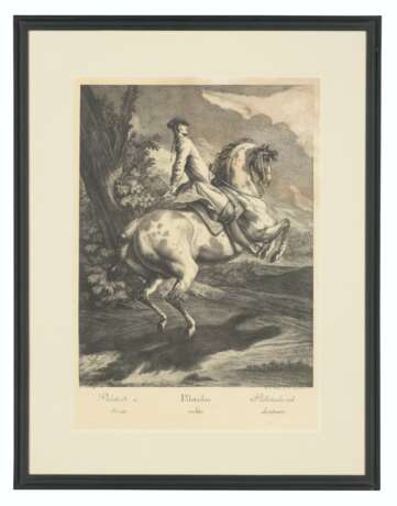 Ridinger, Johann Elias. AFTER JOHANN ELIAS RIDINGER (1698-1767) - Foto 11