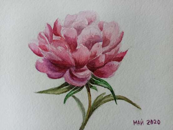 Painting “May Peony”, See description, Classicism, Landscape painting, 2020 - photo 1