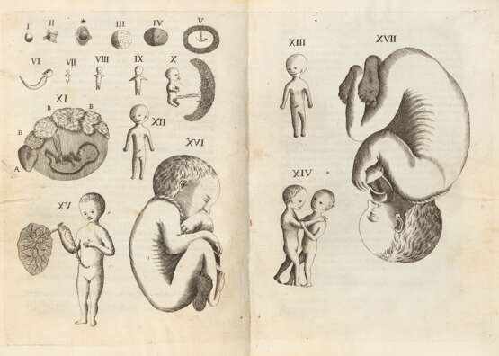 CANGIAMILA Francesco-Emanuele (1702-1763) - Embriologia sacra, overo delluffizio dé sacerdoti, medici, e superiori - photo 1