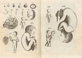 CANGIAMILA Francesco-Emanuele (1702-1763) - Embriologia sacra, overo delluffizio dé sacerdoti, medici, e superiori