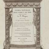 JACOB, Nicolas Henri (1782-1871) - Pietro HUGUES - Storia naturale delle Scimie e dei Maki - фото 1