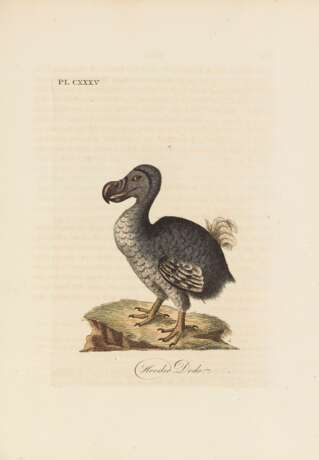 LATHAM, John (1740-1837) - A General History of British Birds - Foto 1