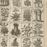 LEMERY, Nicolas (1645-1715) - Dictionnaire universel des drogues simples - photo 1