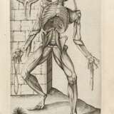 VALVERDE, Juan De (attivo 1560) - Anatomia del corpo umano - фото 1