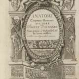 VALVERDE, Juan De (attivo 1560) - Anatome corporis humani - фото 1