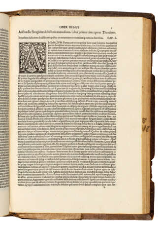 Aristotle (384-322 BCE); Pliny the Elder (23-79); Hermolaus Barbaro (1454-1493) - Foto 1