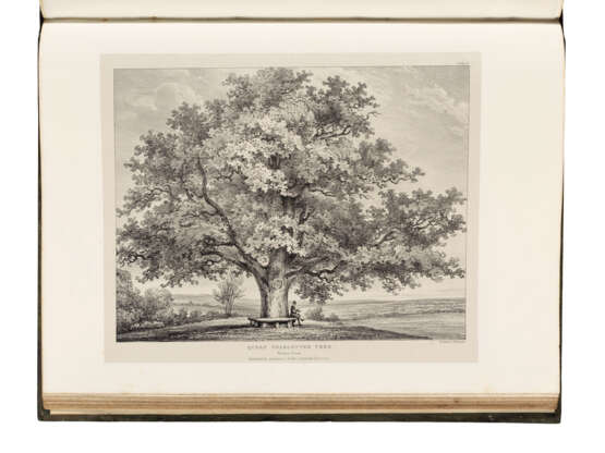Henry William Burgess (c.1792-1839) - фото 1