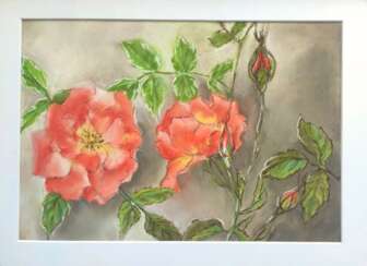 Персиковая rose