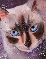 "Siamese cat", cat art "Siamese cat", cat art