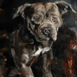 The Dog portrait - Achat en un clic