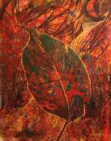 From the series "Fantasies" From the series "Fantasies"