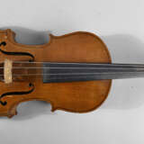 Violine - фото 2