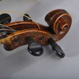 Trompeten-Geige - фото 3