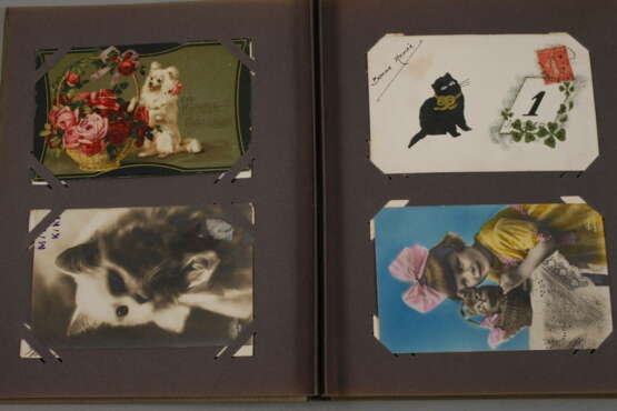 Paar Postkartenalben Hund und Katze - Foto 5