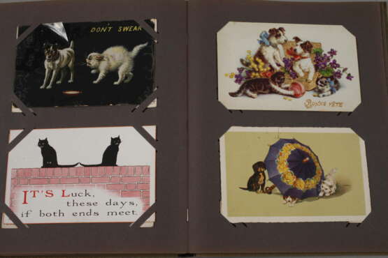 Paar Postkartenalben Hund und Katze - фото 7