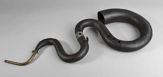 Serpent - photo 1