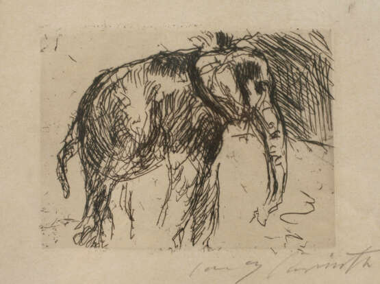 Prof. Lovis Corinth, Elefant - Foto 1