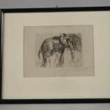 Prof. Lovis Corinth, Elefant - photo 2